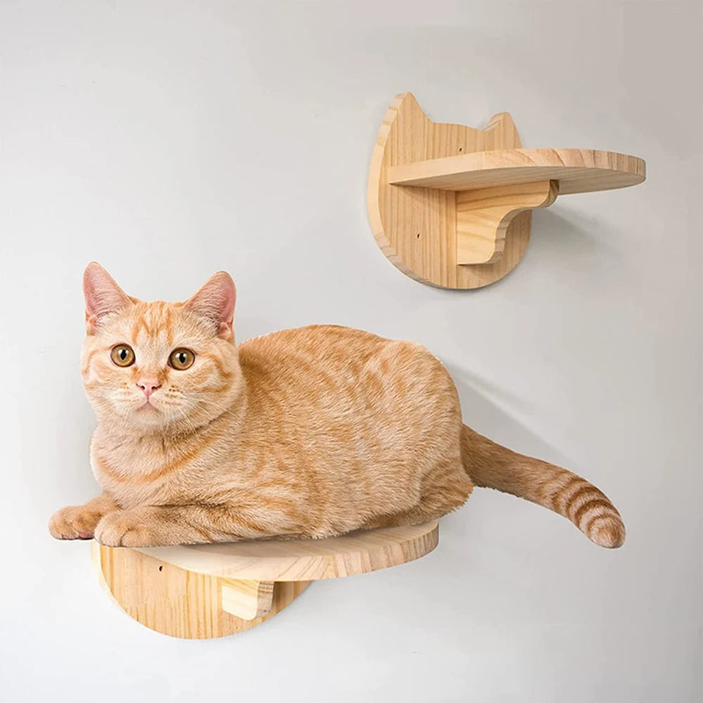 Cat Climbing Wall Mounted Shelves. Stairway, Scratching Posts (x12 Item Choices),