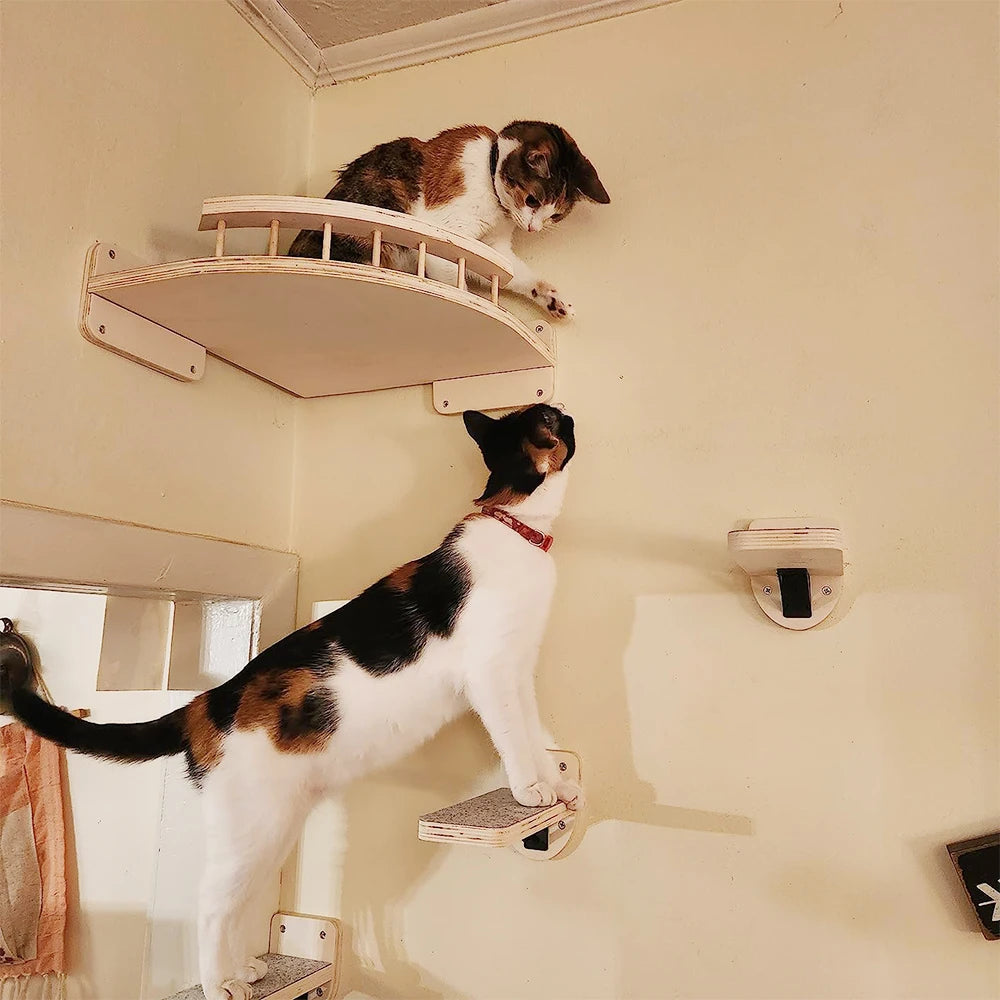 Cat Climbing Wall Mounted Shelves. Stairway, Scratching Posts (x12 Item Choices),